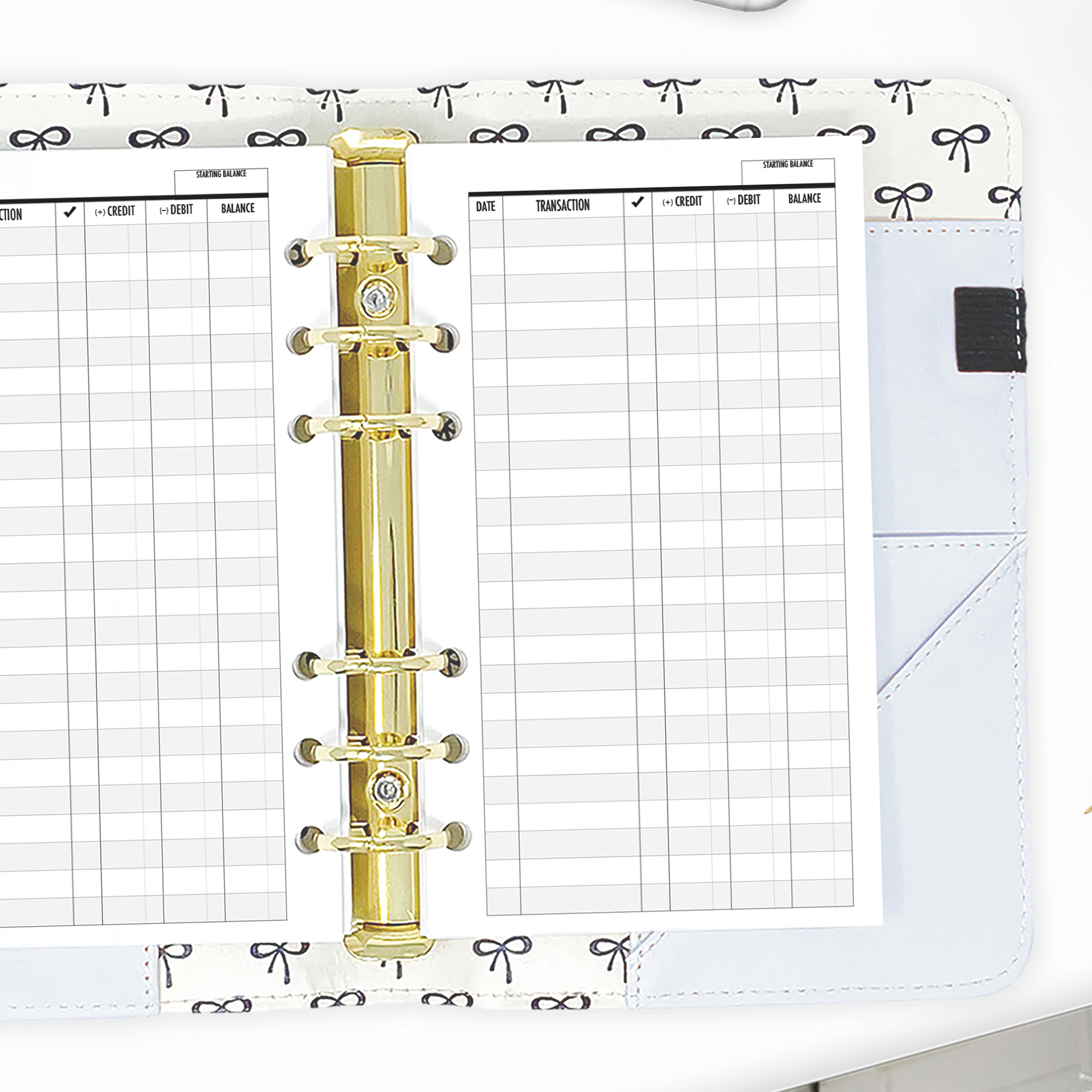 Checkbook register insert with columns for date, check number, and amount