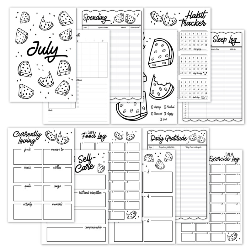 July Monthly Journal set with watermelons