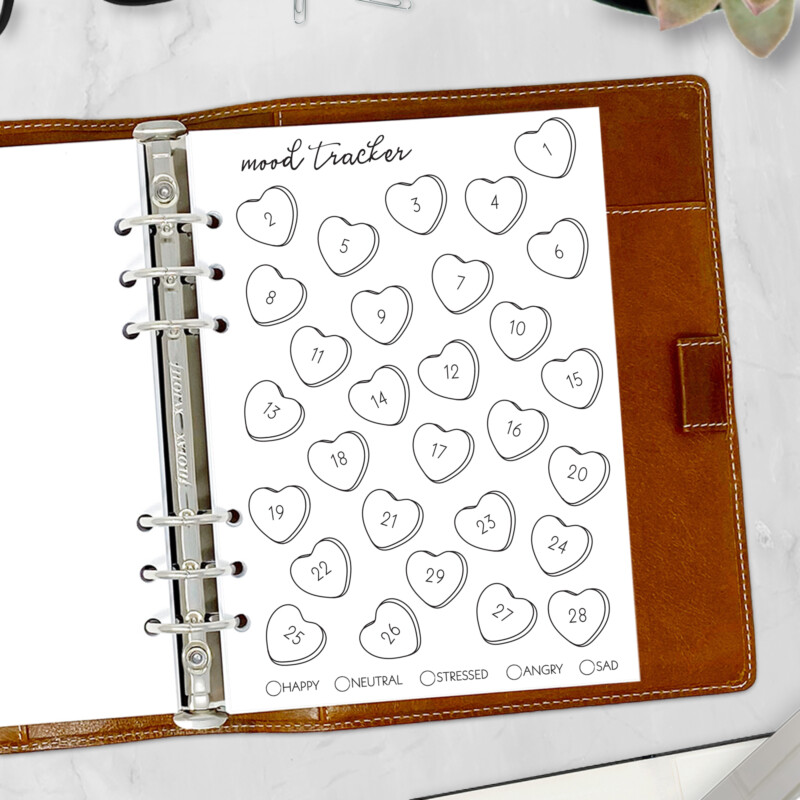 CityGirl Planners A5 size planner insert – Monthly Journal Set 2 February Convo Hearts full 2