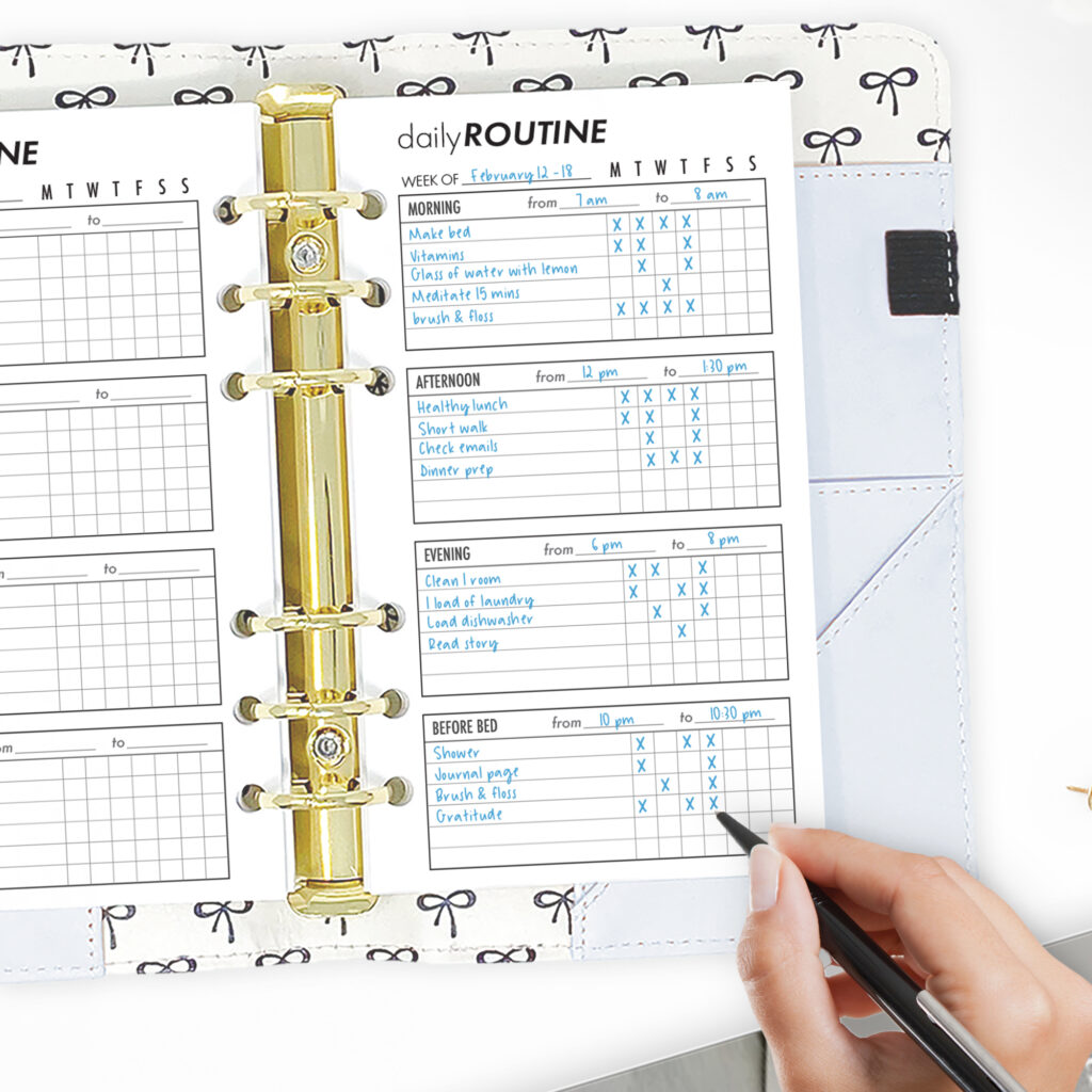 Daily Routine Planner Insert – Habit & Task Tracker Pages | CityGirl ...