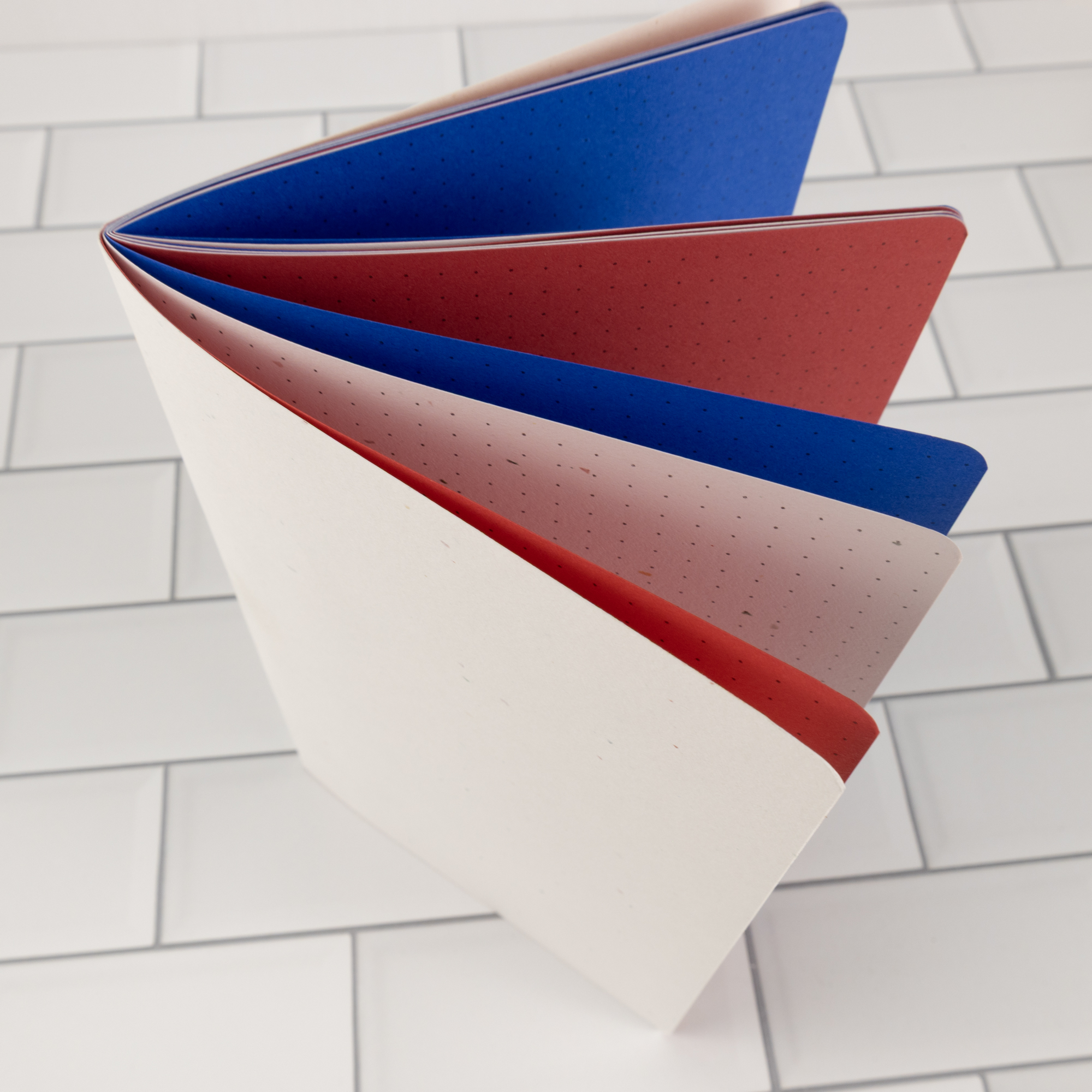 Firecracker traveler's notebook insert fully fanned open showing patriotic blue, red, and speckled stardust white pages.