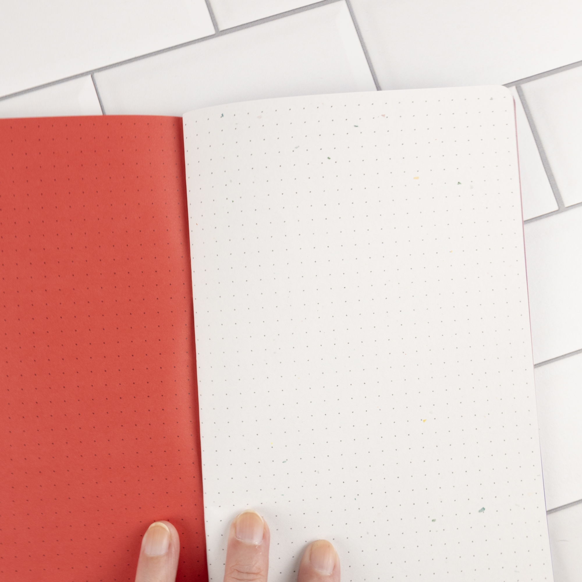 Firecracker traveler's notebook insert open flat showing red and speckled stardust white dot grid pages.