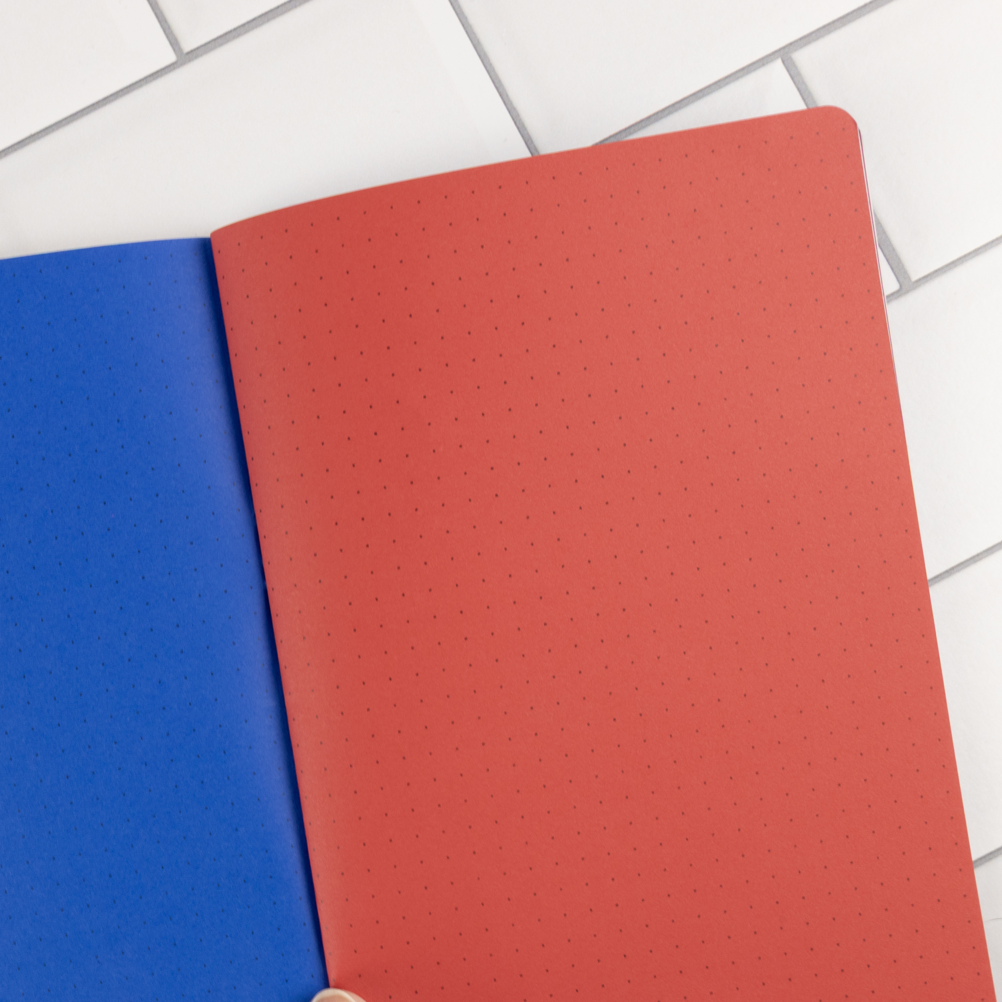 Firecracker traveler's notebook insert open flat showing blue and red dot grid pages.
